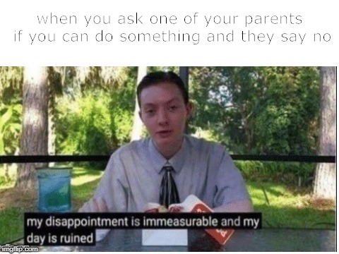 :'( | when you ask one of your parents if you can do something and they say no | image tagged in my dissapointment is immeasurable and my day is ruined,memes,funny,parents,no,ask | made w/ Imgflip meme maker