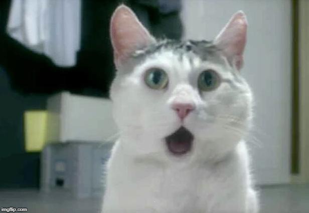 OMG Cat Meme | . | image tagged in memes,omg cat | made w/ Imgflip meme maker