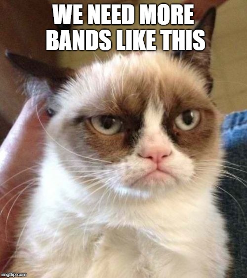 Grumpy Cat Reverse Meme | WE NEED MORE BANDS LIKE THIS | image tagged in memes,grumpy cat reverse,grumpy cat | made w/ Imgflip meme maker