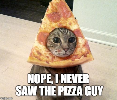 pizza cat | NOPE, I NEVER SAW THE PIZZA GUY | image tagged in pizza cat | made w/ Imgflip meme maker
