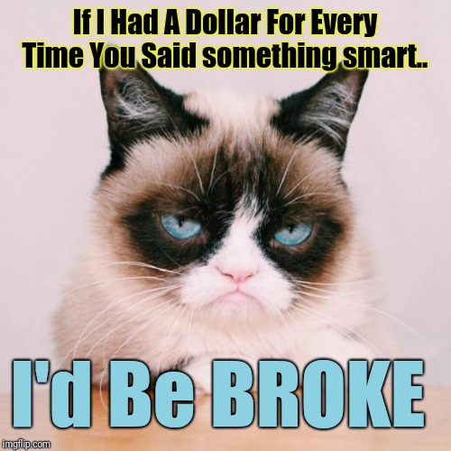 -_- | If I Had A Dollar For Every Time You Said something smart.. I'd Be BROKE | image tagged in grumpy cat again,memes,grumpy cat,insult,grumpy cat insults | made w/ Imgflip meme maker