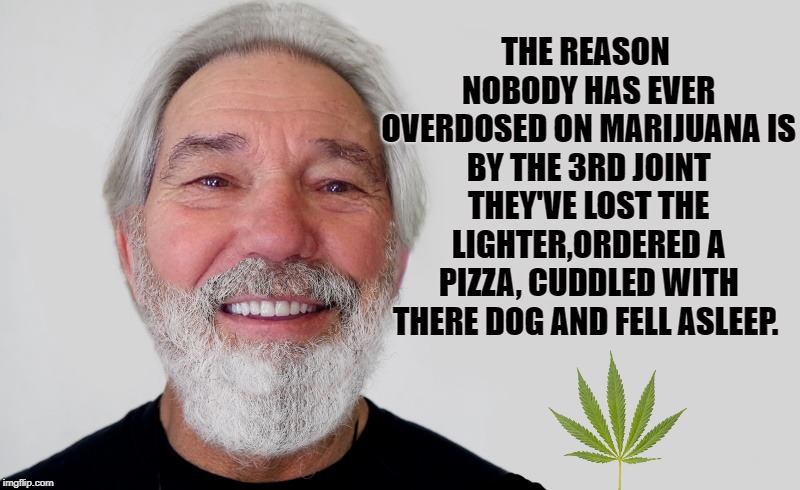 Weed is safer than peanut butter | THE REASON NOBODY HAS EVER OVERDOSED ON MARIJUANA
IS BY THE 3RD JOINT THEY'VE LOST THE LIGHTER,ORDERED A PIZZA, CUDDLED WITH THERE DOG AND FELL ASLEEP. | image tagged in chong kewlew,weed,od | made w/ Imgflip meme maker