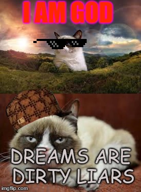I AM GOD; DREAMS ARE DIRTY LIARS | image tagged in grumpy is god | made w/ Imgflip meme maker