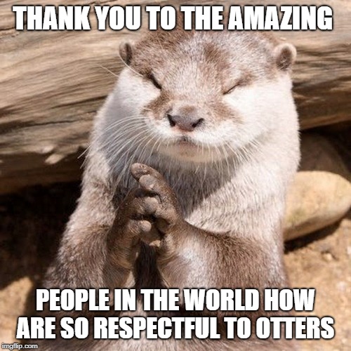 thank you to the amazing people  | THANK YOU TO THE AMAZING; PEOPLE IN THE WORLD HOW ARE SO RESPECTFUL TO OTTERS | image tagged in otter,thank you | made w/ Imgflip meme maker