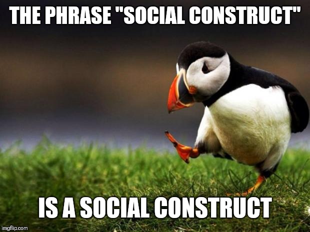 Unpopular Opinion Puffin Meme | THE PHRASE "SOCIAL CONSTRUCT"; IS A SOCIAL CONSTRUCT | image tagged in memes,unpopular opinion puffin | made w/ Imgflip meme maker