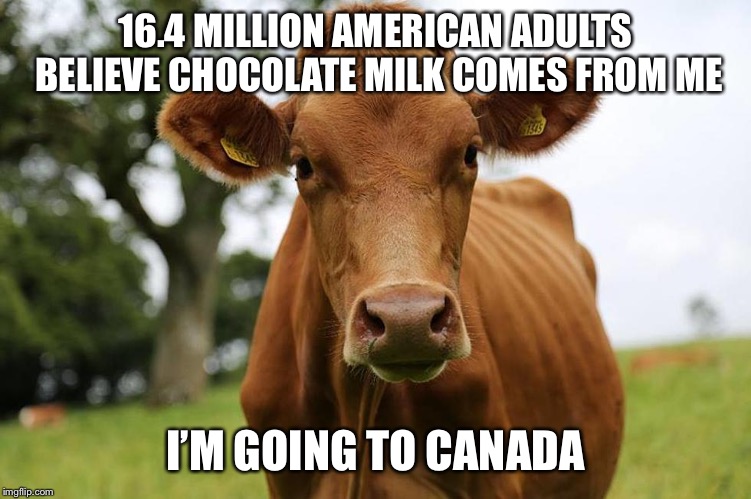 Why America | 16.4 MILLION AMERICAN ADULTS BELIEVE CHOCOLATE MILK COMES FROM ME; I’M GOING TO CANADA | image tagged in funny | made w/ Imgflip meme maker