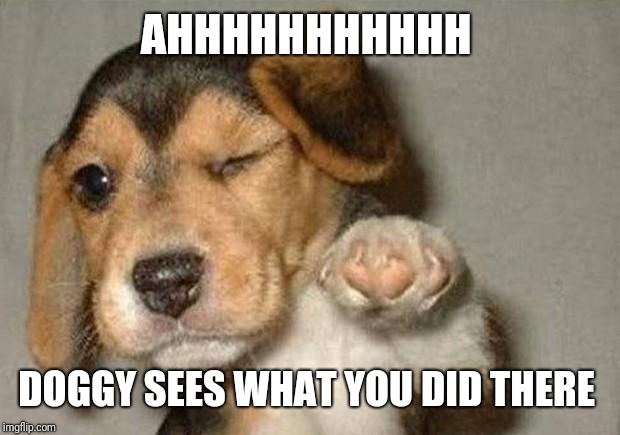 Winking Dog | AHHHHHHHHHHH DOGGY SEES WHAT YOU DID THERE | image tagged in winking dog | made w/ Imgflip meme maker
