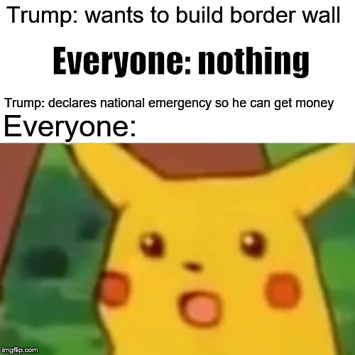 Surprised Pikachu | Trump: wants to build border wall; Everyone: nothing; Trump: declares national emergency so he can get money; Everyone: | image tagged in memes,surprised pikachu | made w/ Imgflip meme maker