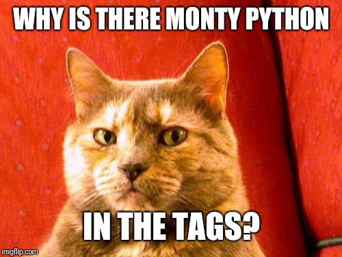 Suspicious Cat Meme | WHY IS THERE MONTY PYTHON IN THE TAGS? | image tagged in memes,suspicious cat | made w/ Imgflip meme maker