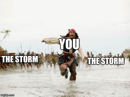 Jack Sparrow Being Chased Meme | YOU; THE STORM; THE STORM | image tagged in memes,jack sparrow being chased | made w/ Imgflip meme maker