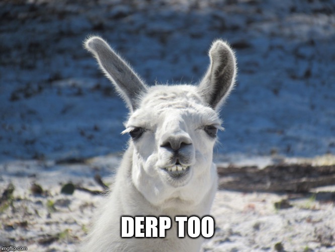 Derp | DERP TOO | image tagged in derp | made w/ Imgflip meme maker