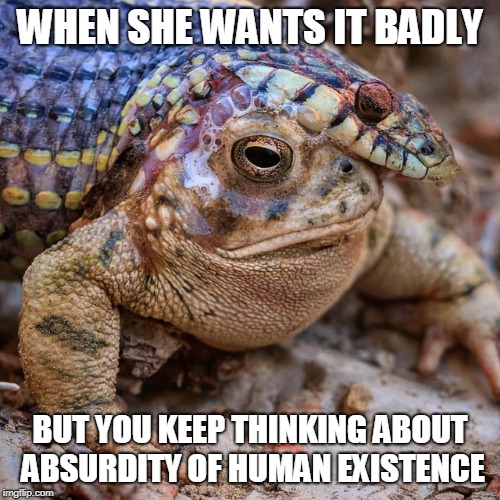 Not Now | WHEN SHE WANTS IT BADLY; BUT YOU KEEP THINKING ABOUT ABSURDITY OF HUMAN EXISTENCE | image tagged in frog,snake,horny,existentialism,deep thoughts,what is love | made w/ Imgflip meme maker