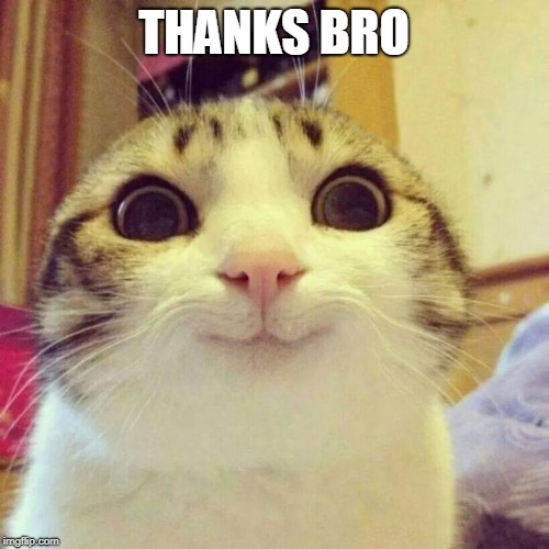 Smiling Cat Meme | THANKS BRO | image tagged in memes,smiling cat | made w/ Imgflip meme maker
