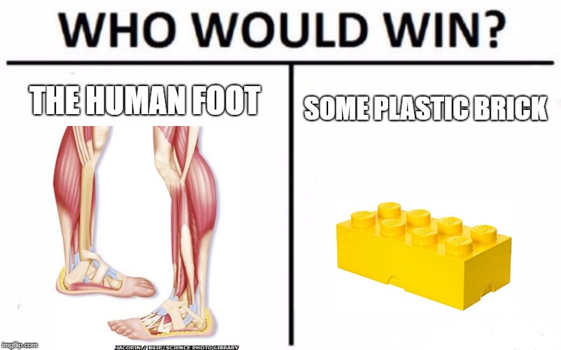 Who Would Win? Meme | THE HUMAN FOOT; SOME PLASTIC BRICK | image tagged in memes,who would win | made w/ Imgflip meme maker
