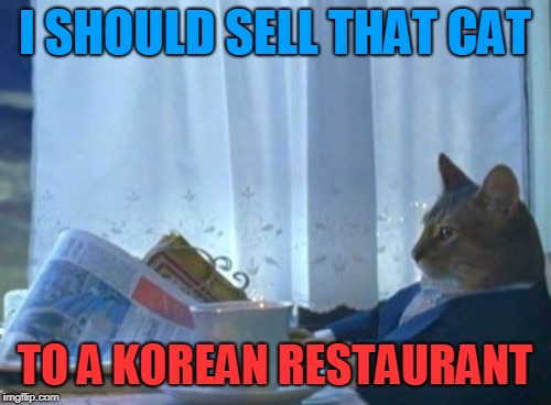 I Should Buy A Boat Cat Meme | I SHOULD SELL THAT CAT TO A KOREAN RESTAURANT | image tagged in memes,i should buy a boat cat | made w/ Imgflip meme maker