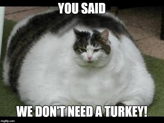 fat cat 2 | YOU SAID; WE DON'T NEED A TURKEY! | image tagged in fat cat 2 | made w/ Imgflip meme maker
