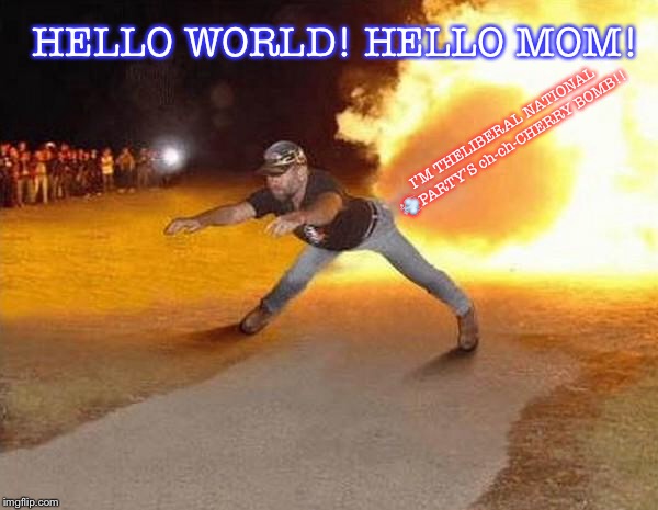 fire fart | HELLO WORLD! HELLO MOM! I’M THELIBERAL NATIONAL 💨PARTY’S ch-ch-CHERRY BOMB!! | image tagged in fire fart | made w/ Imgflip meme maker