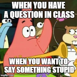 No Patrick Meme | WHEN YOU HAVE A QUESTION IN CLASS; WHEN YOU WANT TO SAY SOMETHING STUPID | image tagged in memes,no patrick | made w/ Imgflip meme maker