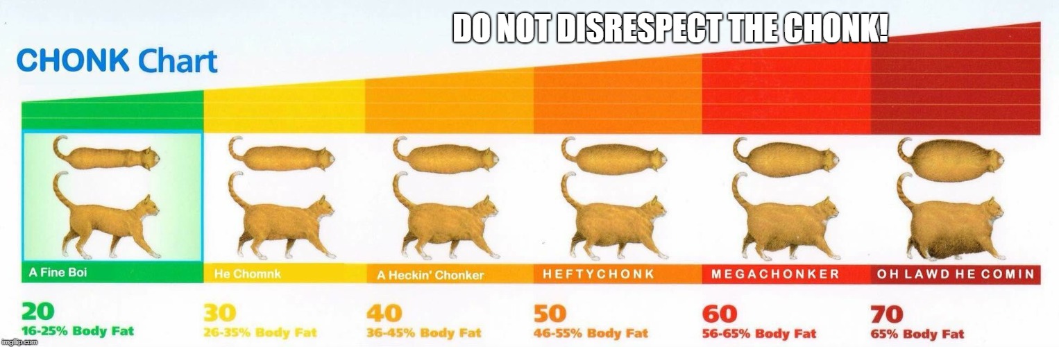 DO NOT DISRESPECT THE CHONK! | image tagged in cats | made w/ Imgflip meme maker