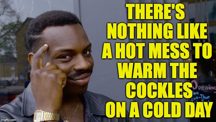 Roll Safe Think About It Meme | THERE'S NOTHING LIKE A HOT MESS TO; WARM THE COCKLES ON A COLD DAY | image tagged in memes,roll safe think about it,cockles,hot mess | made w/ Imgflip meme maker