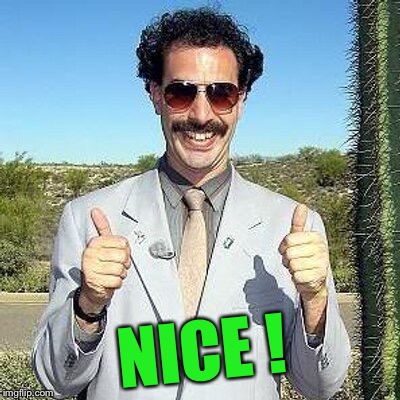 Yay | NICE ! | image tagged in yay | made w/ Imgflip meme maker