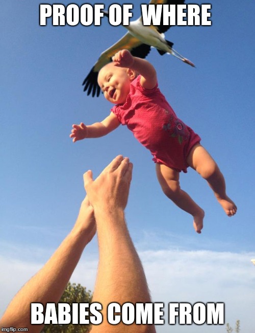 You know its true | PROOF OF  WHERE; BABIES COME FROM | image tagged in babies | made w/ Imgflip meme maker