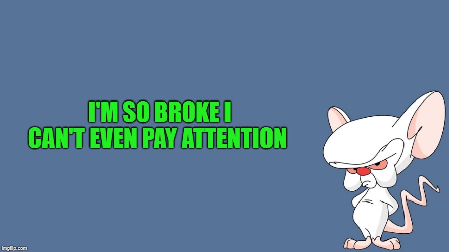 I'M SO BROKE I CAN'T EVEN PAY ATTENTION | image tagged in the brain | made w/ Imgflip meme maker