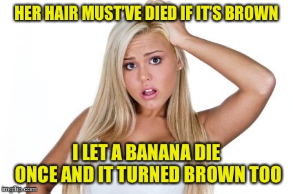Dumb Blonde | HER HAIR MUST’VE DIED IF IT’S BROWN I LET A BANANA DIE ONCE AND IT TURNED BROWN TOO | image tagged in dumb blonde | made w/ Imgflip meme maker