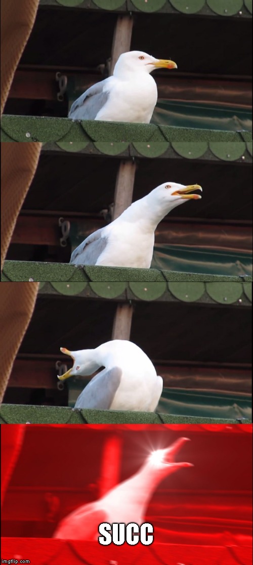 Inhaling Seagull | SUCC | image tagged in memes,inhaling seagull | made w/ Imgflip meme maker