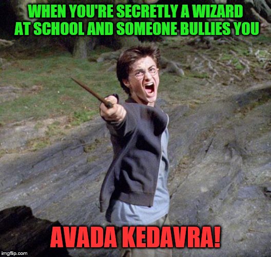 Harry potter | WHEN YOU'RE SECRETLY A WIZARD AT SCHOOL AND SOMEONE BULLIES YOU; AVADA KEDAVRA! | image tagged in harry potter | made w/ Imgflip meme maker