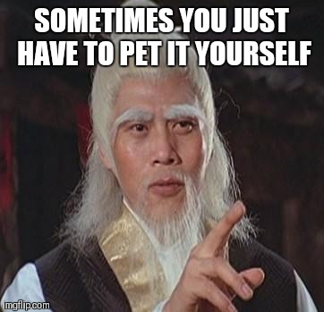 Wise Kung Fu Master | SOMETIMES YOU JUST HAVE TO PET IT YOURSELF | image tagged in wise kung fu master | made w/ Imgflip meme maker