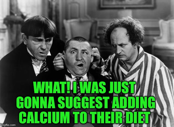 WHAT! I WAS JUST GONNA SUGGEST ADDING CALCIUM TO THEIR DIET | made w/ Imgflip meme maker