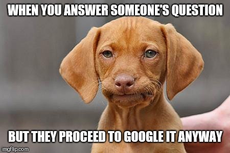 Dissapointed puppy | WHEN YOU ANSWER SOMEONE'S QUESTION; BUT THEY PROCEED TO GOOGLE IT ANYWAY | image tagged in dissapointed puppy | made w/ Imgflip meme maker