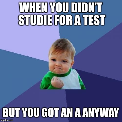 Success Kid Meme | WHEN YOU DIDN’T STUDIE FOR A TEST; BUT YOU GOT AN A ANYWAY | image tagged in memes,success kid | made w/ Imgflip meme maker