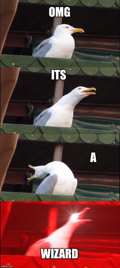 Inhaling Seagull | OMG; ITS; A; WIZARD | image tagged in memes,inhaling seagull | made w/ Imgflip meme maker