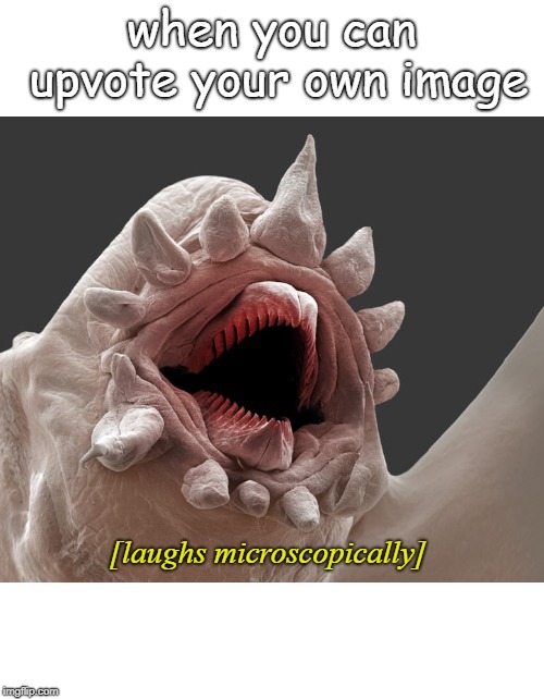 Laughs Microscopically | when you can upvote your own image; [laughs microscopically] | image tagged in laughs microscopically | made w/ Imgflip meme maker