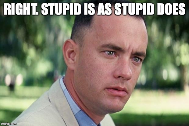 And Just Like That Meme | RIGHT. STUPID IS AS STUPID DOES | image tagged in forrest gump | made w/ Imgflip meme maker