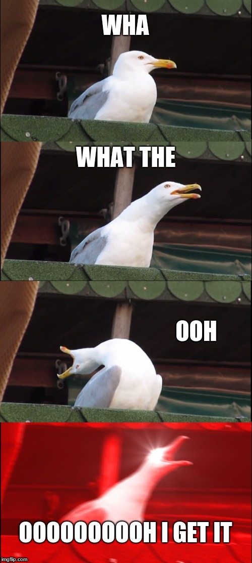 Inhaling Seagull | WHA; WHAT THE; OOH; OOOOOOOOOH I GET IT | image tagged in memes,inhaling seagull | made w/ Imgflip meme maker