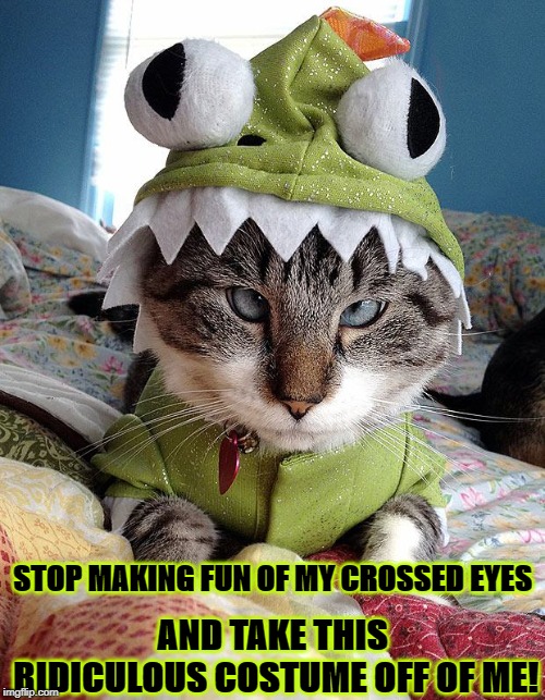 AND TAKE THIS RIDICULOUS COSTUME OFF OF ME! STOP MAKING FUN OF MY CROSSED EYES | image tagged in stop | made w/ Imgflip meme maker