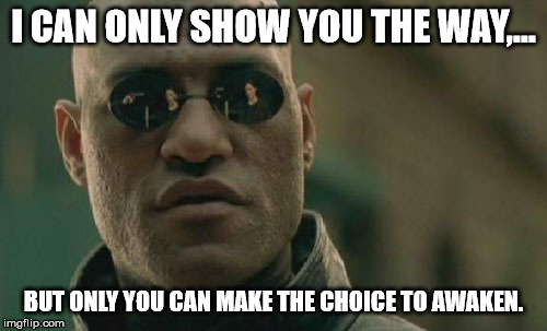 Matrix Morpheus Meme | I CAN ONLY SHOW YOU THE WAY,... BUT ONLY YOU CAN MAKE THE CHOICE TO AWAKEN. | image tagged in memes,matrix morpheus | made w/ Imgflip meme maker