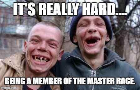 rednecks | IT'S REALLY HARD.... BEING A MEMBER OF THE MASTER RACE. | image tagged in rednecks | made w/ Imgflip meme maker