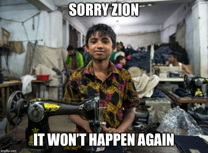 Just DON’T Do It (again) | SORRY ZION; IT WON’T HAPPEN AGAIN | image tagged in nike,duke basketball | made w/ Imgflip meme maker