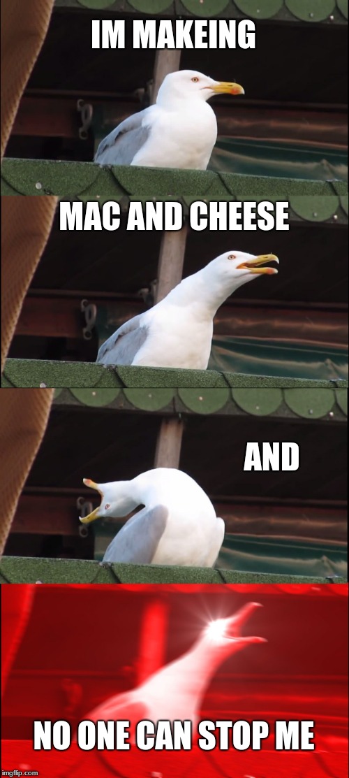 Inhaling Seagull Meme | IM MAKEING; MAC AND CHEESE; AND; NO ONE CAN STOP ME | image tagged in memes,inhaling seagull | made w/ Imgflip meme maker