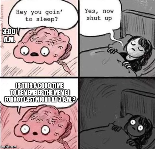 waking up brain | 3:00 A.M. IS THIS A GOOD TIME TO REMEMBER THE MEME I FORGOT LAST NIGHT AT 3 A.M.? | image tagged in waking up brain | made w/ Imgflip meme maker