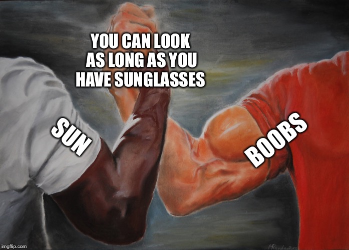 Epic Handshake | YOU CAN LOOK AS LONG AS YOU HAVE SUNGLASSES; BOOBS; SUN | image tagged in epic handshake | made w/ Imgflip meme maker