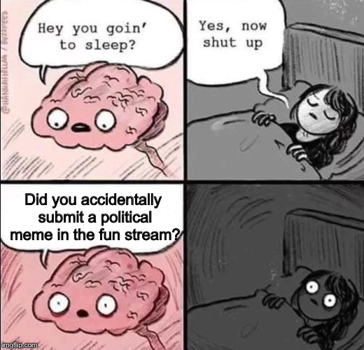 Oh shoot | Did you accidentally submit a political meme in the fun stream? | image tagged in waking up brain,politics stream,fun stream,memes | made w/ Imgflip meme maker