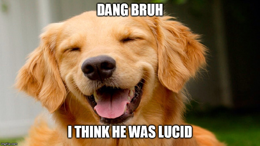 Laughing Dog | DANG BRUH I THINK HE WAS LUCID | image tagged in laughing dog | made w/ Imgflip meme maker
