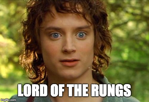 Surpised Frodo Meme | LORD OF THE RUNGS | image tagged in memes,surpised frodo | made w/ Imgflip meme maker
