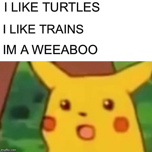 Surprised Pikachu Meme | I LIKE TURTLES; I LIKE TRAINS; IM A WEEABOO | image tagged in memes,surprised pikachu | made w/ Imgflip meme maker