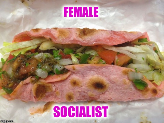 Pink Taco | FEMALE SOCIALIST | image tagged in pink taco | made w/ Imgflip meme maker